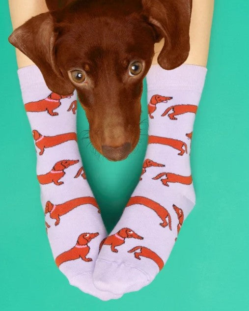 chaussettes chien saucisse fun et stylées