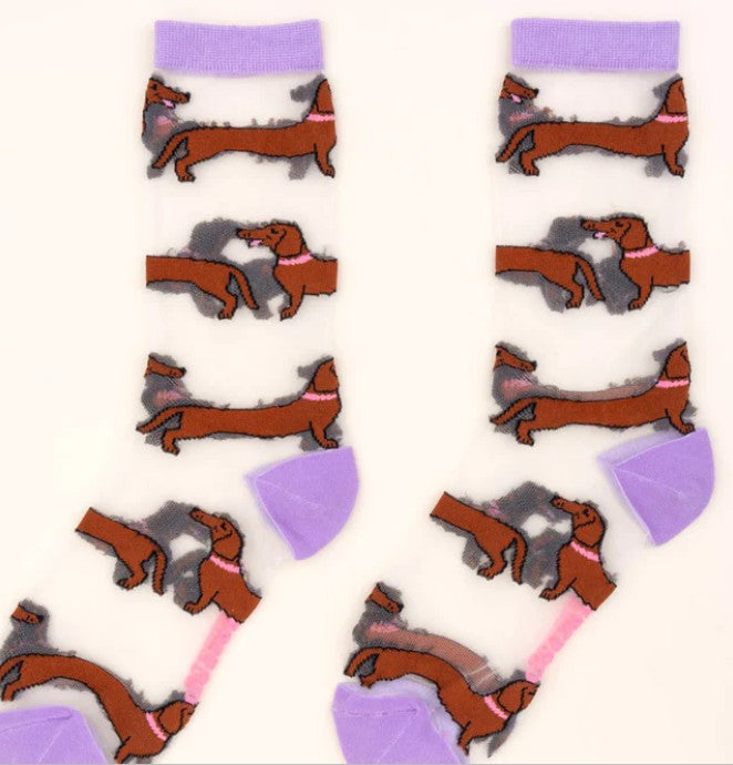 chaussettes teckel transparentes coucou suzette