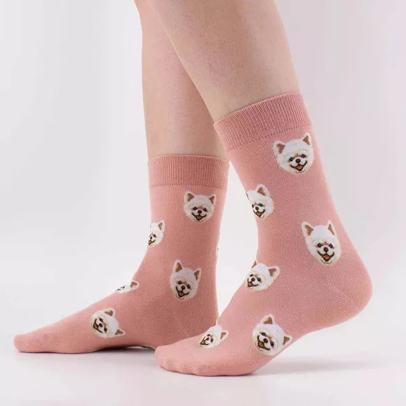 Chaussettes longues avec motif de têtes de chiens sur fond multicolore - Collection Tites Chaussettes