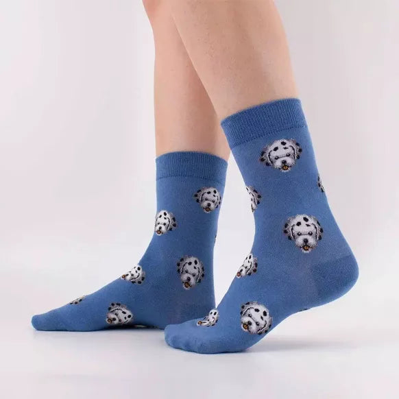 Chaussettes longues avec motif de têtes de chiens sur fond multicolore - Collection Tites Chaussettes