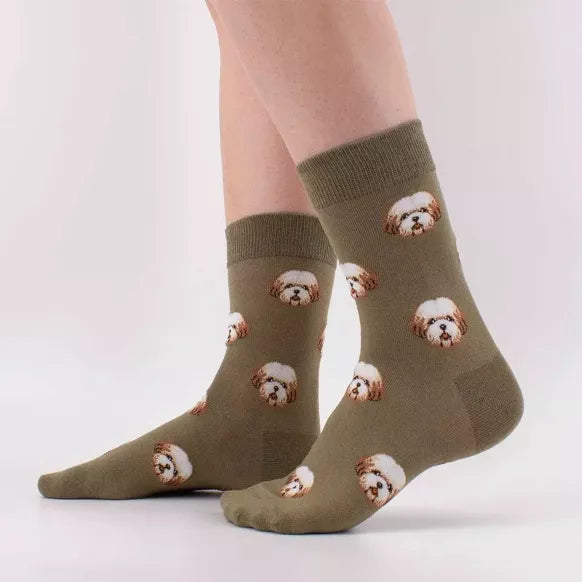 Chaussettes longues avec motif de têtes de chiens sur fond multicolore - Collection Tites Chaussettes