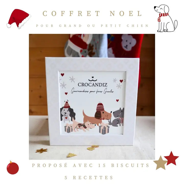 coffret de noël pour chien financiers bio crocandiz