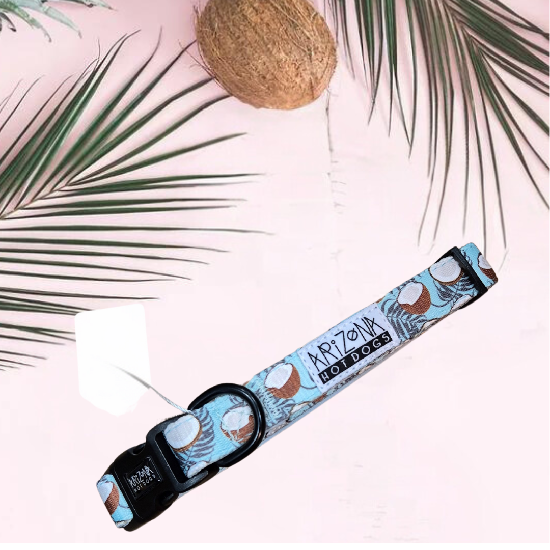 Collier Nylon pour chien Coconut de ArizonaHotdogs chez DOG DELICAT