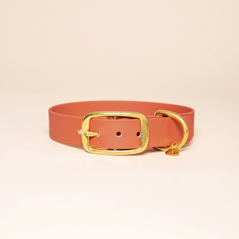 Collier pour chien imperméable Fidèle Paris "L'aventurier" - couleur terracotta avec bouclerie dorée en laiton.