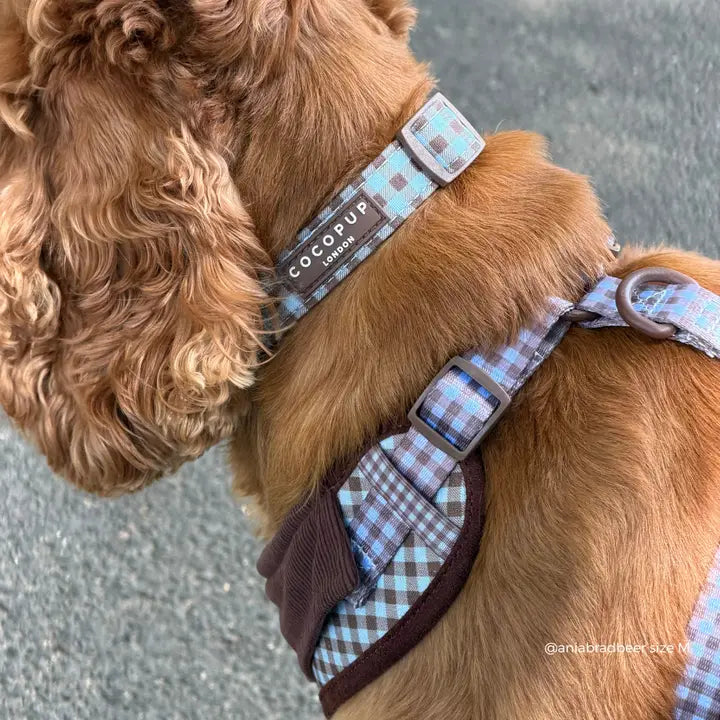 Collier pour chien à carreaux Chelsea Check CocoPup London – CocoPup London – DOG DéliCAT