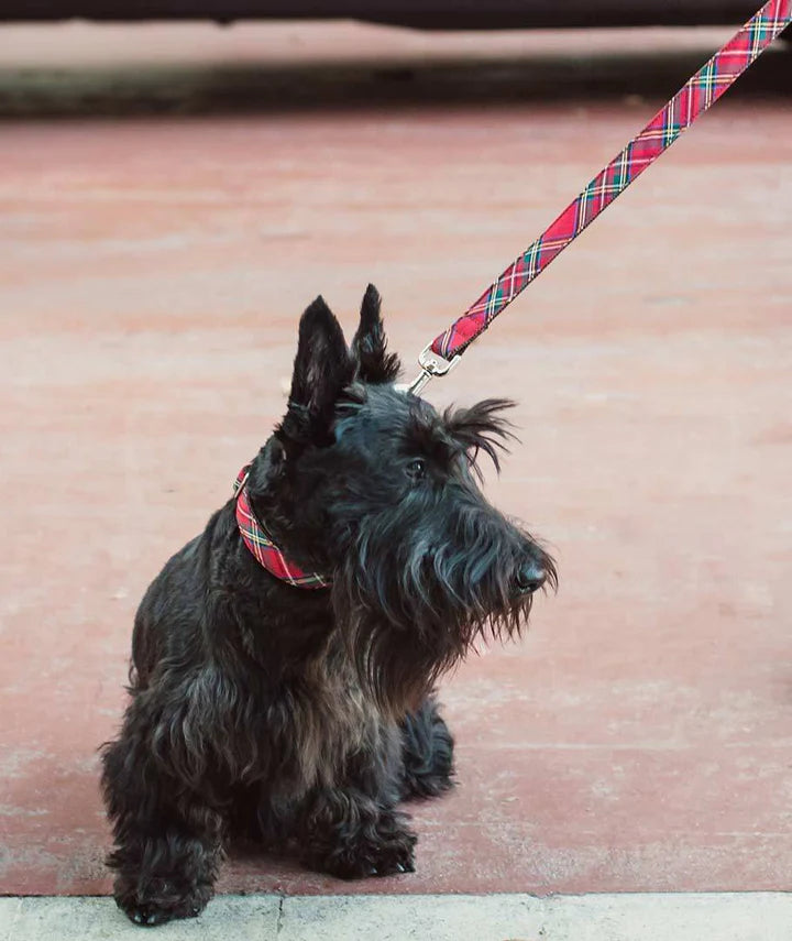 Collier et laisse pour chien tartan rouge Brott fait main