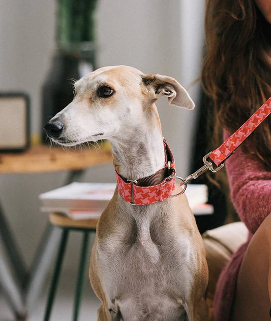 Collier Martingale pour lévriers imprimé Miralles rose et rouge, fait main par Brott à Barcelone