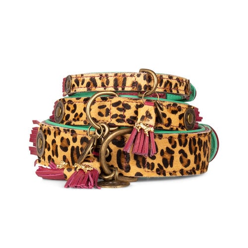 Collier pour chien Lou Lou en cuir bordeaux avec imprimé léopard, collection Chique Boutique de Dog With A Mission.
