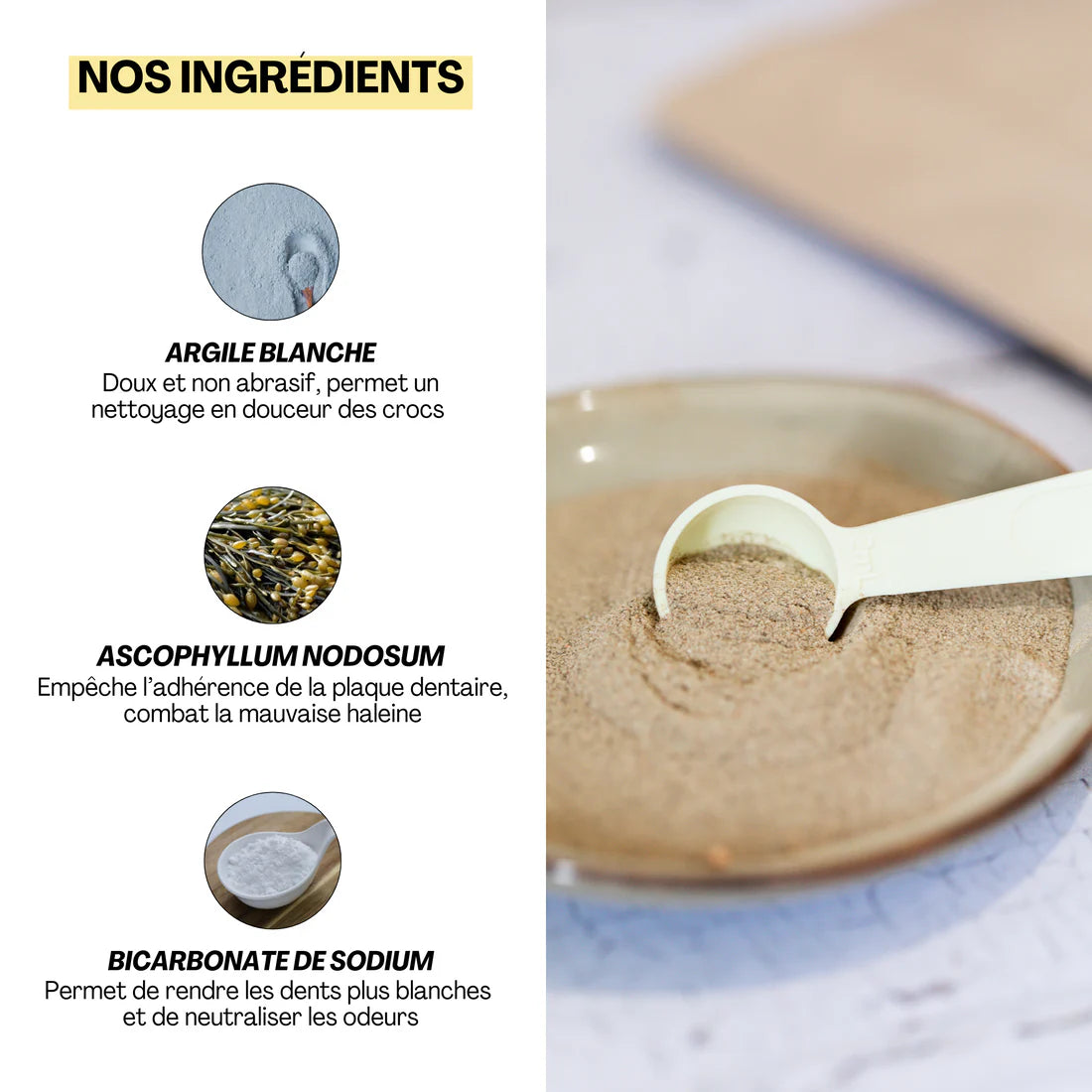 Complément alimentaire Quenotte pour chiens et chats - Formule naturelle à base d'argile blanche et algues pour une hygiène bucco-dentaire impeccable.
