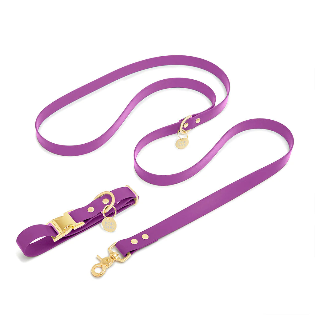 Laisse bandoulière en biothane Pop Dog pour des promenades mains libres - Collection de DOG DELICAT