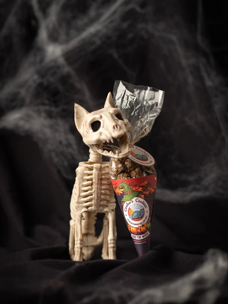 Biscuits Halloween pour chien Kiss the Witch – Cooka's Cookies – DOG DéliCAT