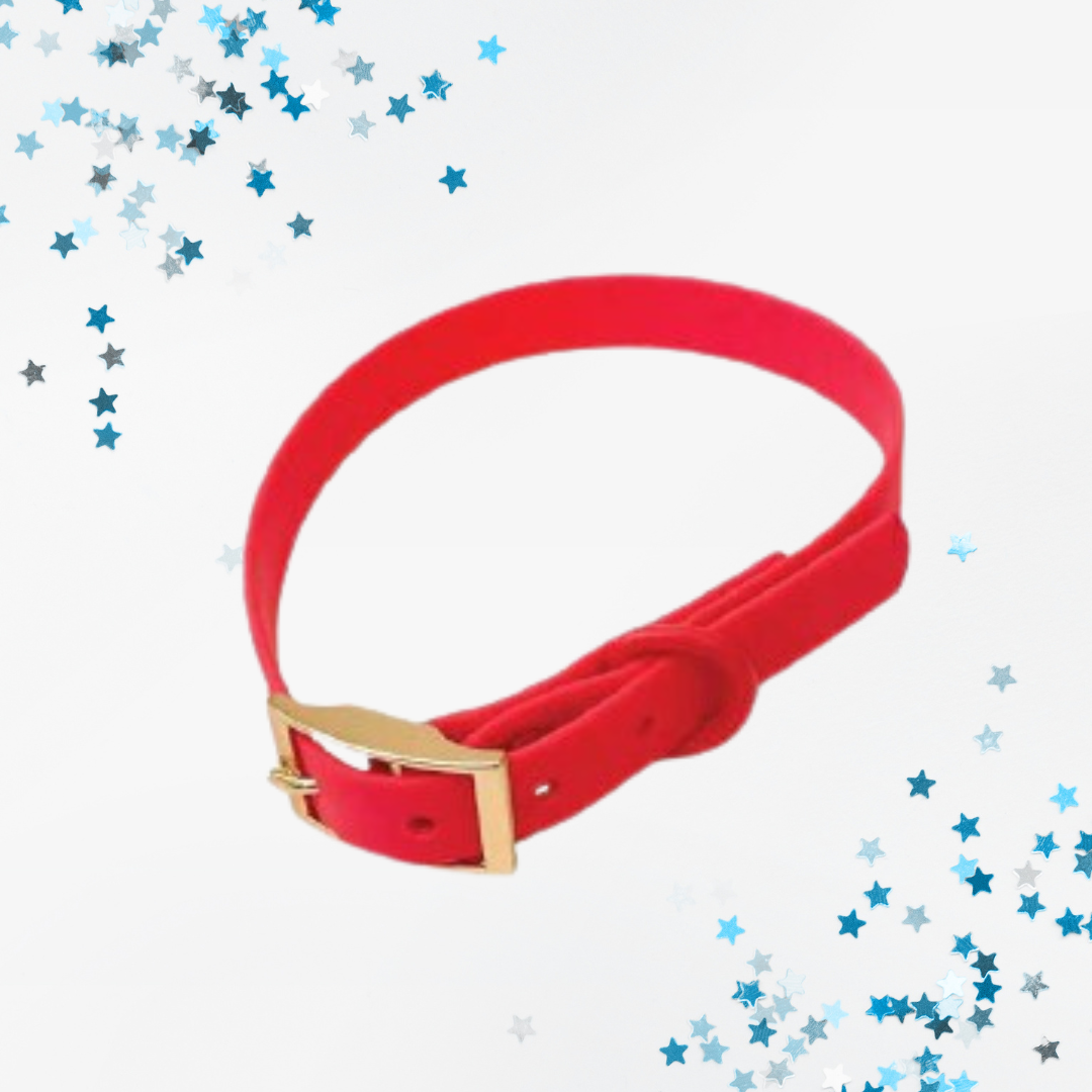 Collier PVC Aries Rouge ArizonaHotDogs chez DOG DELICAT