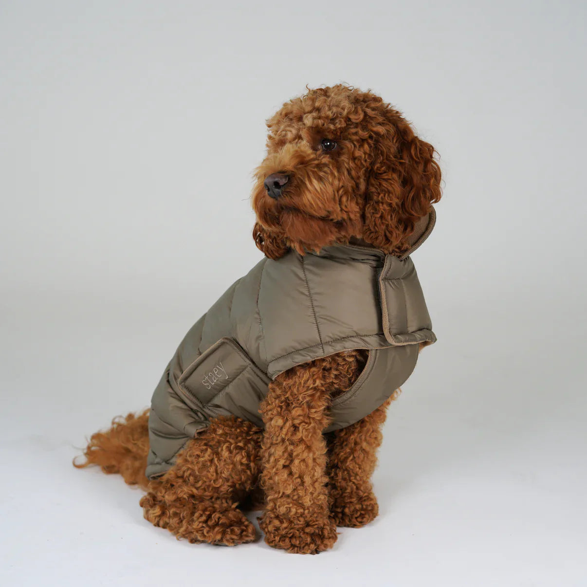 Manteau hiver chaud chien Staey Nora taupe