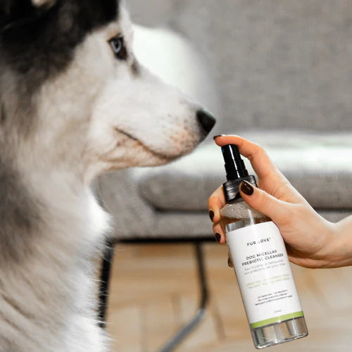 Eau micellaire Fur Love, un nettoyant sans rinçage pour chien, hydratant et rafraîchissant, idéal pour les zones sensibles et entre les lavages.