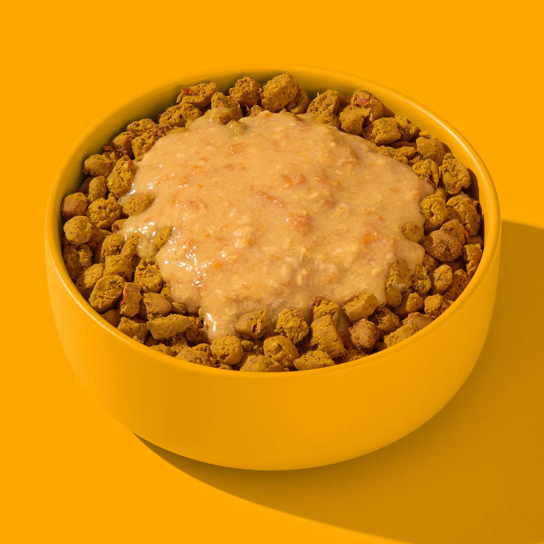 Complément alimentaire chien Fred & Felia – smoothie naturel