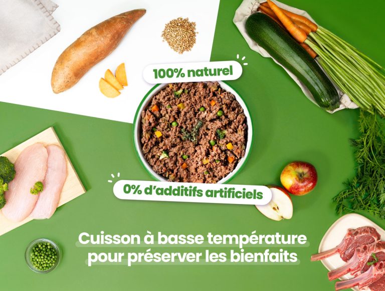 Repas frais pour chien à l'agneau et dinde 400 g DOG CHEF – DOG DéliCAT