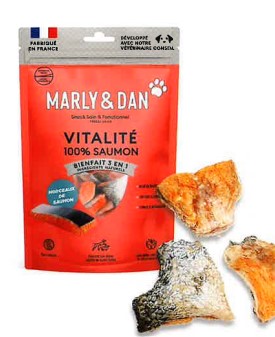 Friandises pour chien 100 % saumon lyophilisé - Vitalité et pelage éclatant - Sachet de 50g