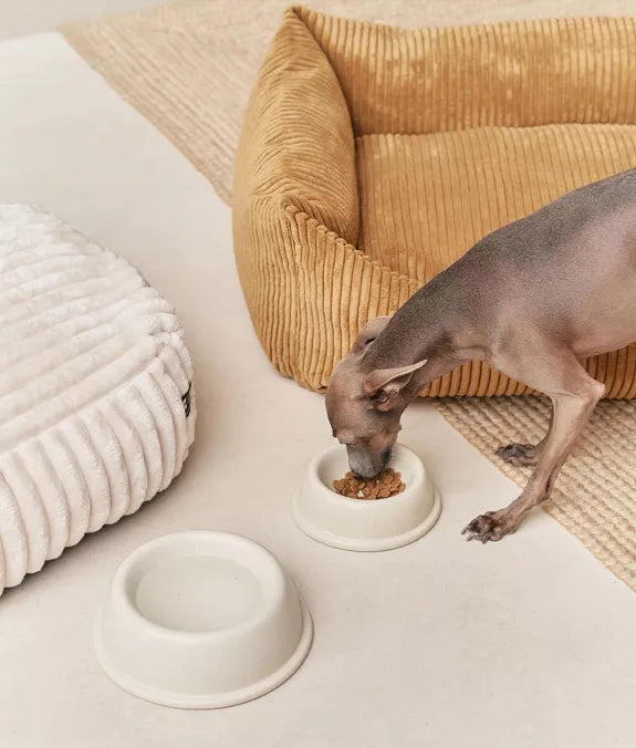 Gamelle pour chien en céramique White Bone Bole