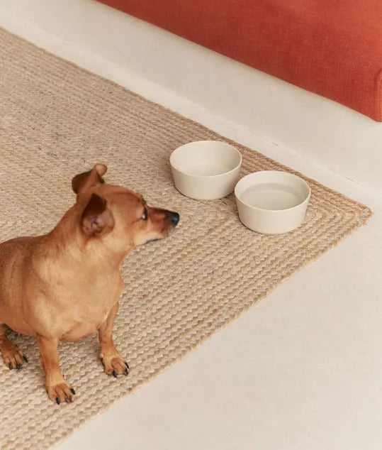 Gamelle en céramique design Bone White 510 ml pour chien et chat – Cafide