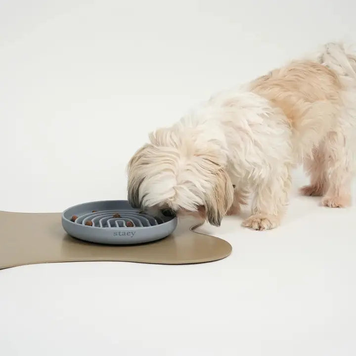 Gamelle anti-glouton pour chien design grise Staey – Staey – DOG DéliCAT