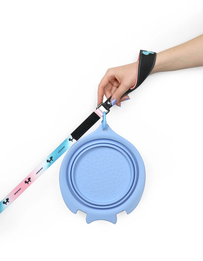 Grande gamelle de voyage pliable bleue design