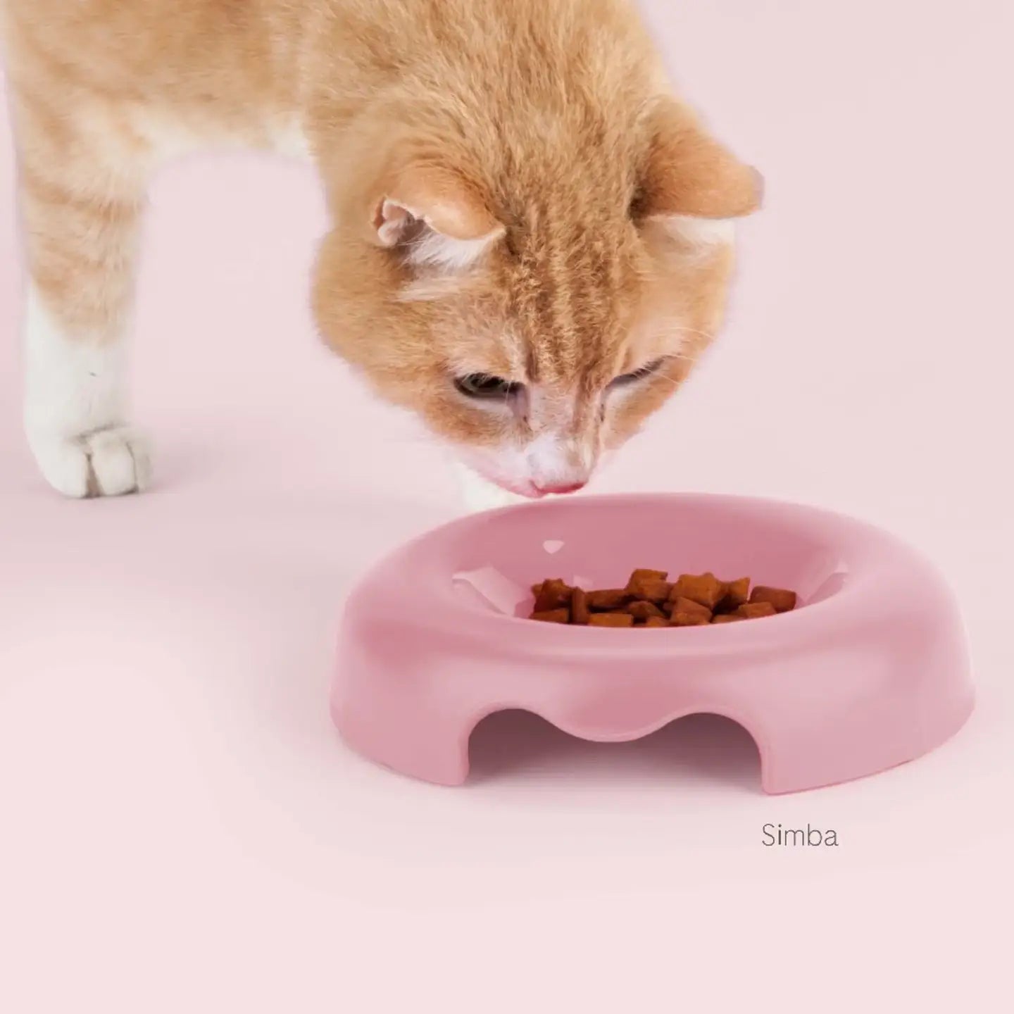 Gamelle Kitty pour chat – bol design à bords bas en plastique recyclé rose