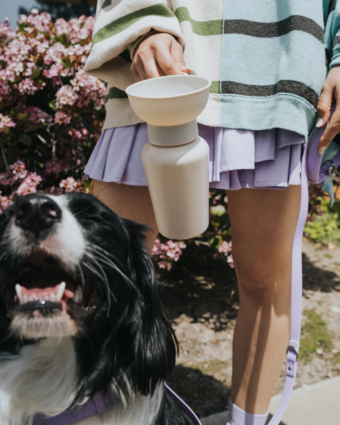 Gourde de voyage pour chien 590 ml – Springer Flip étanche & pliable