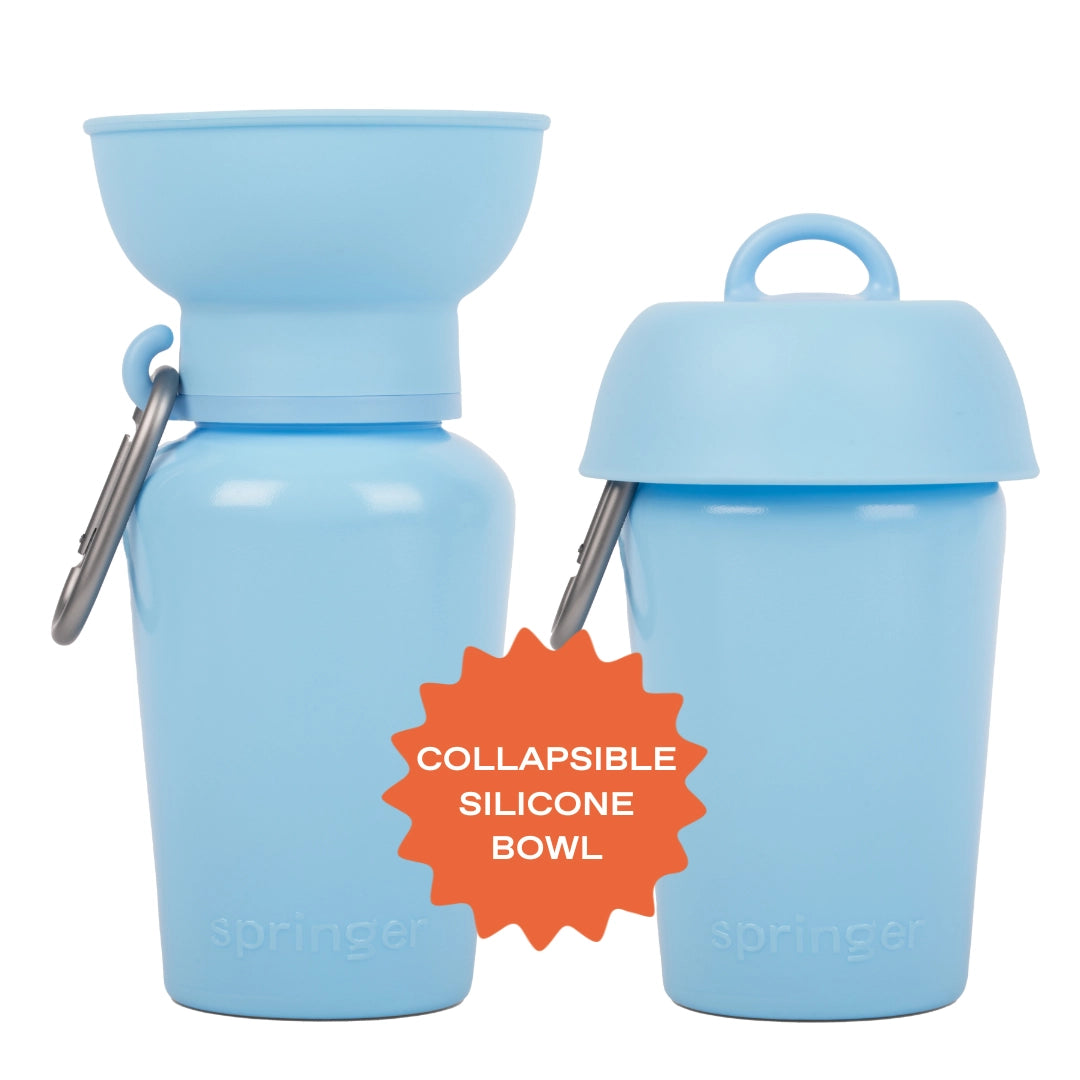 Gourde de voyage pour chien 590 ml – Springer Flip étanche & pliable