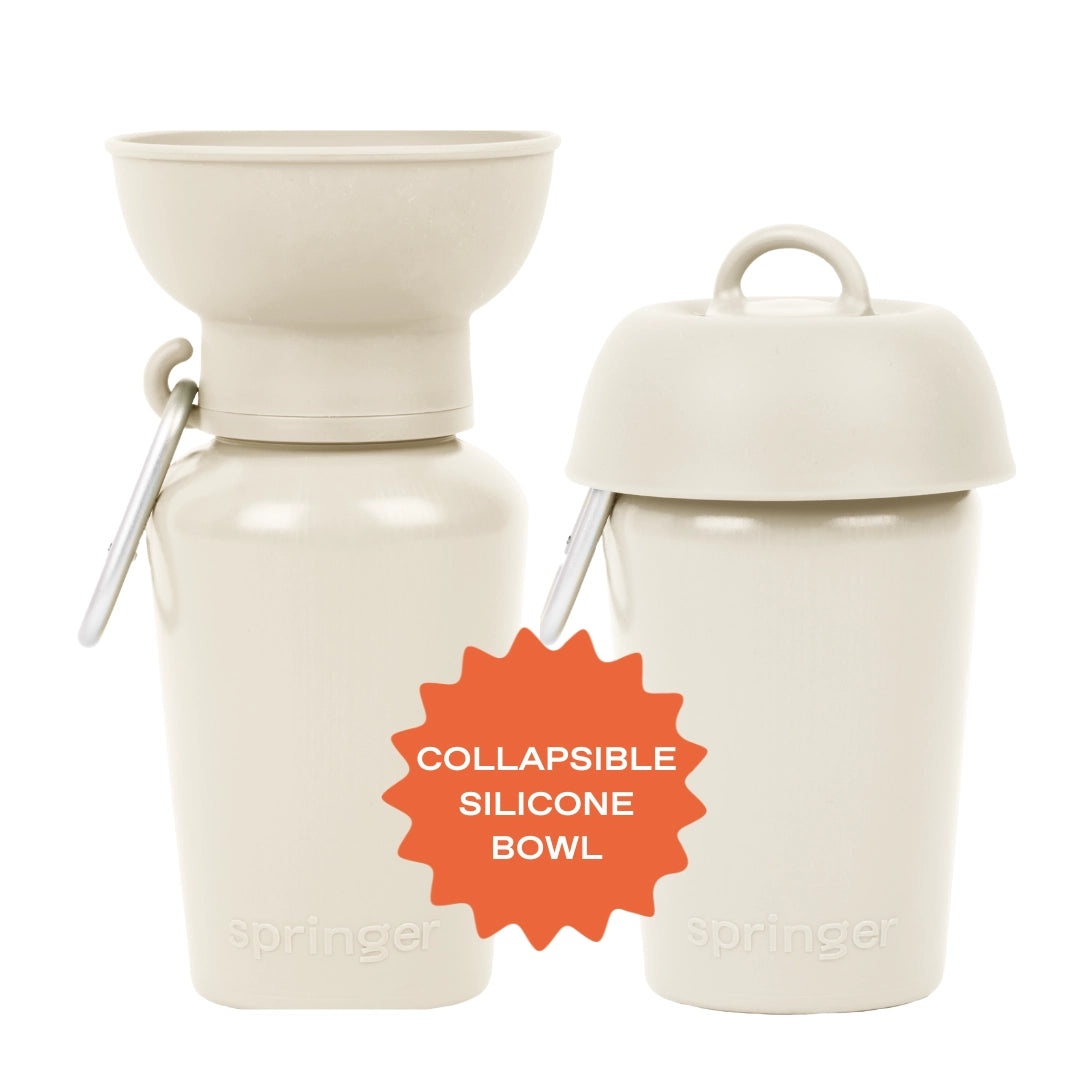 Gourde de voyage pour chien 590 ml – Springer Flip étanche & pliable
