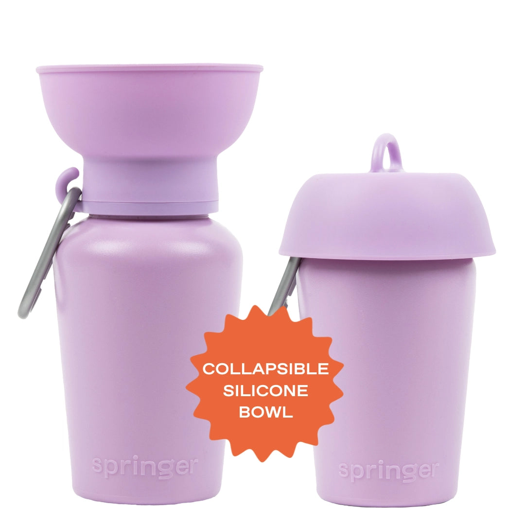 Gourde de voyage pour chien 590 ml – Springer Flip étanche & pliable