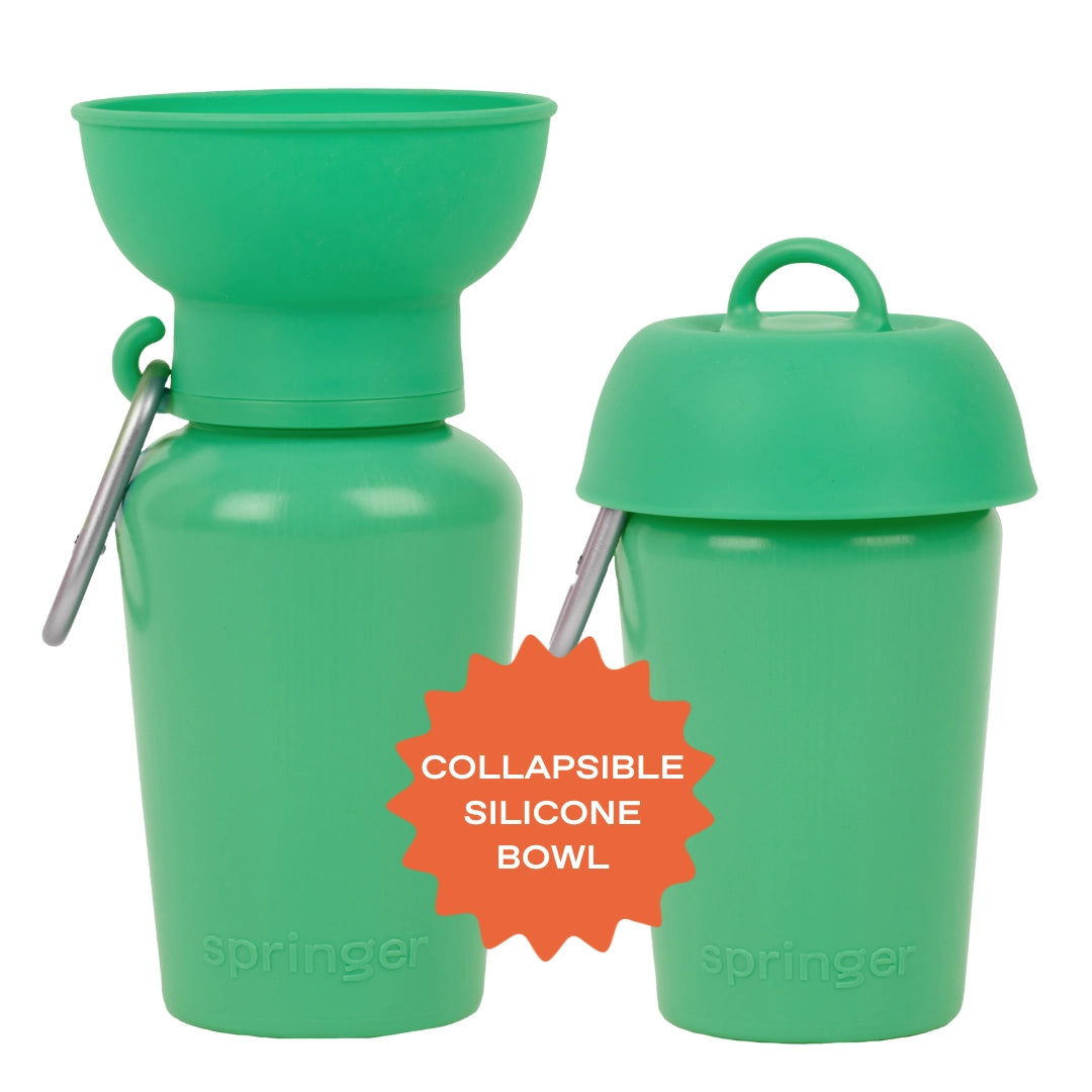 Gourde de voyage pour chien 590 ml – Springer Flip étanche & pliable