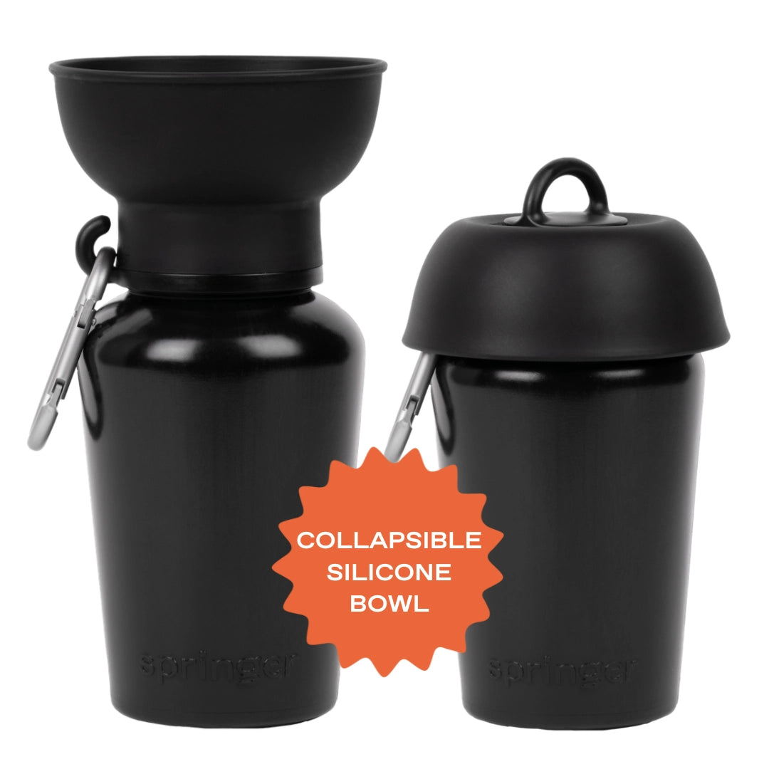 Gourde de voyage pour chien 590 ml – Springer Flip étanche & pliable