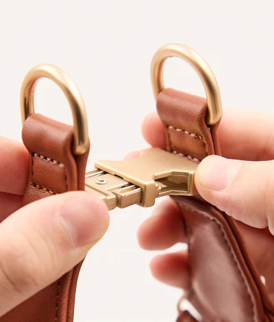 harnais eco responsable pour chien cafide