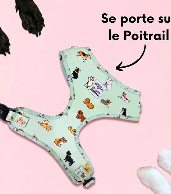 Le harnais pour chien en H Coucou Suzette x Arizona Hot Dogs chez DOG DéliCAT