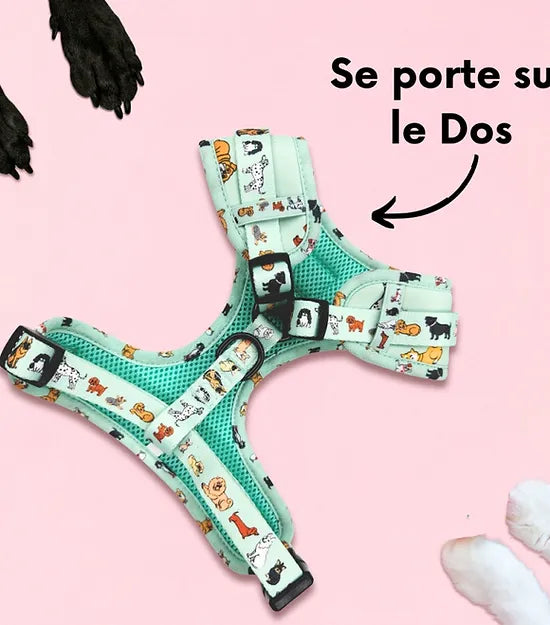 Le harnais pour chien en H Coucou Suzette x Arizona Hot Dogs chez DOG DéliCAT