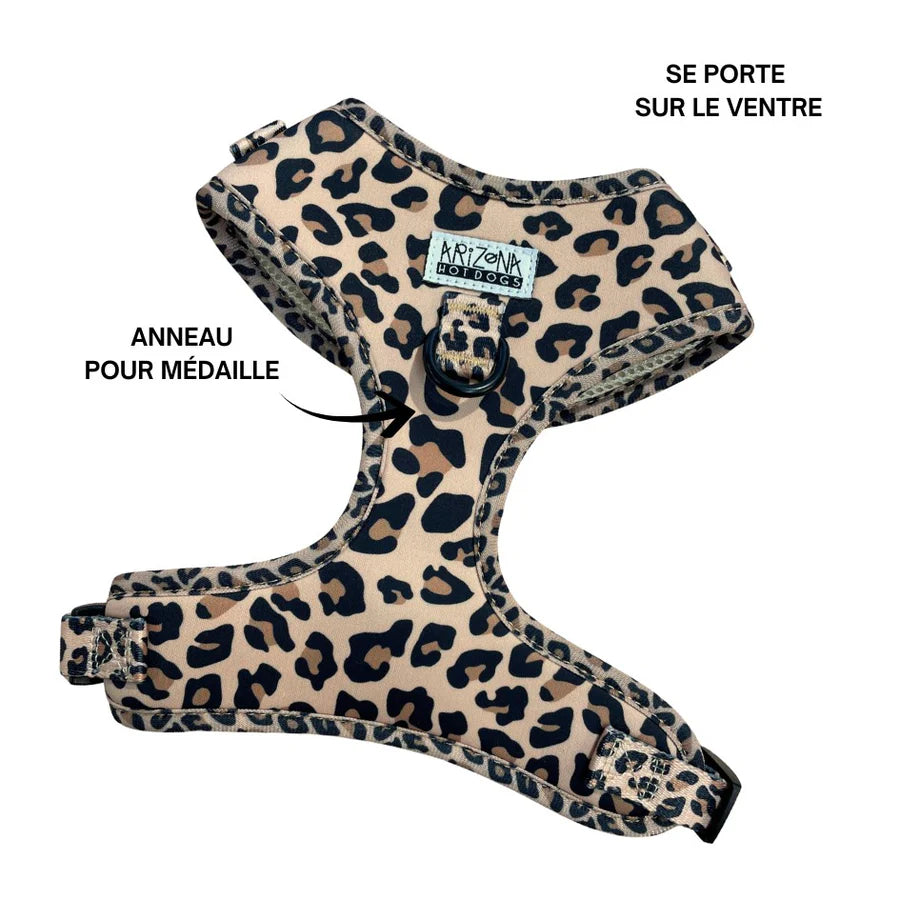 harnais en h léopard petit et moyen chien