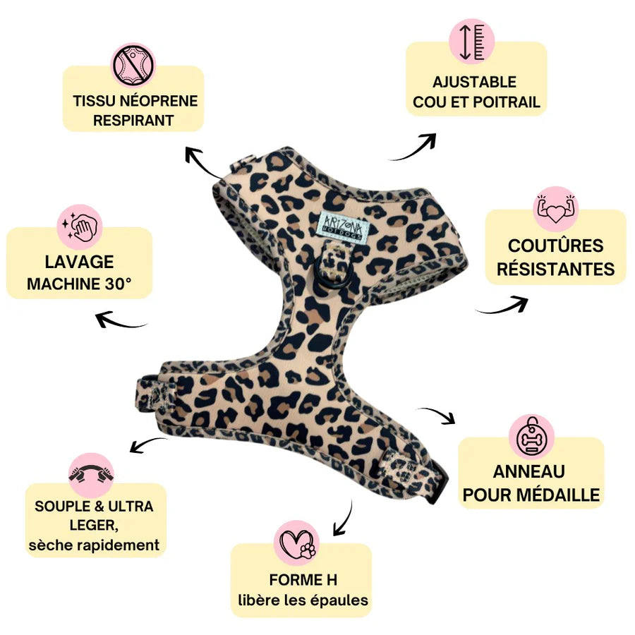 harnais h léopard pour chien et chat vue de face