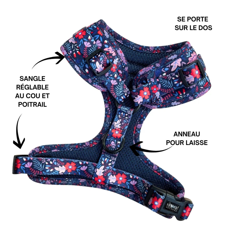 Harnais en H pour chien à motifs - Violala