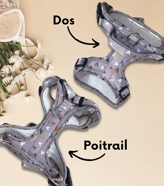 Harnais pour chien anti-traction Comfy Sweet Love avec motifs de petits cœurs.