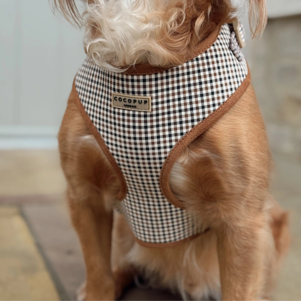 Harnais pour chien H réglable Heritage Check - Cocopup London - DOG DéliCAT