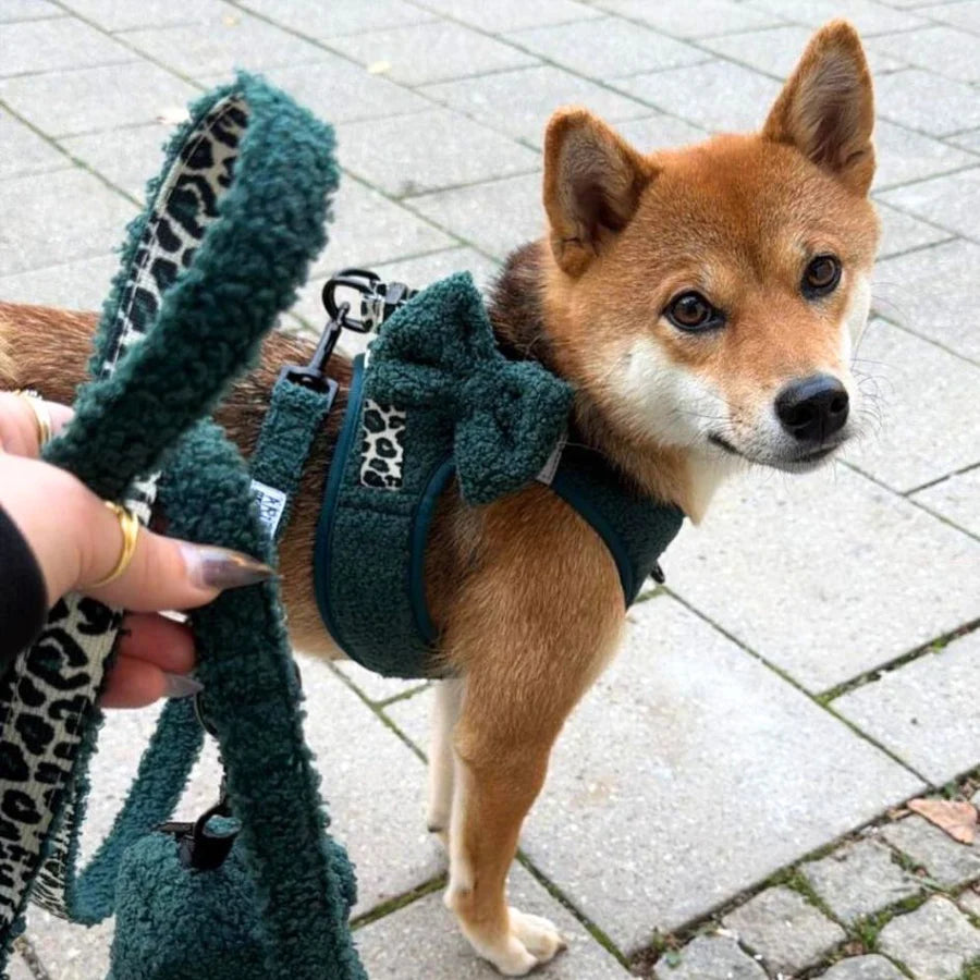 Harnais Step-In confortable chien Arizona Hotdogs