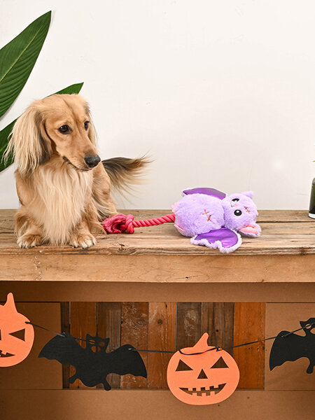 Peluche Halloween pour chien - Chauve-souris Bat - HugSmart – DOG DéliCAT