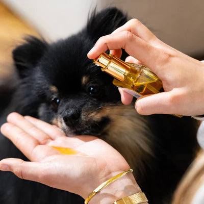Huile de soin Fur Love pour chien, idéale pour nourrir, protéger et apporter brillance et souplesse au poil et à la peau.