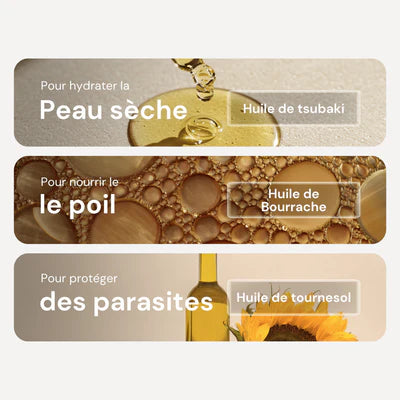 Huile de Soin Naturelle pour Chien – Argan & Bourrache – Sublime le Poil & la Peau