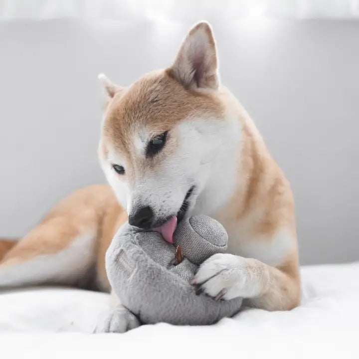 jouet enrichment chien lambwolf guu poches friandises