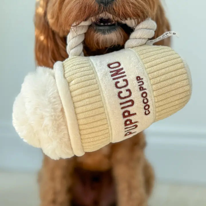 jouet chien peluche café sifflet et cache friandises