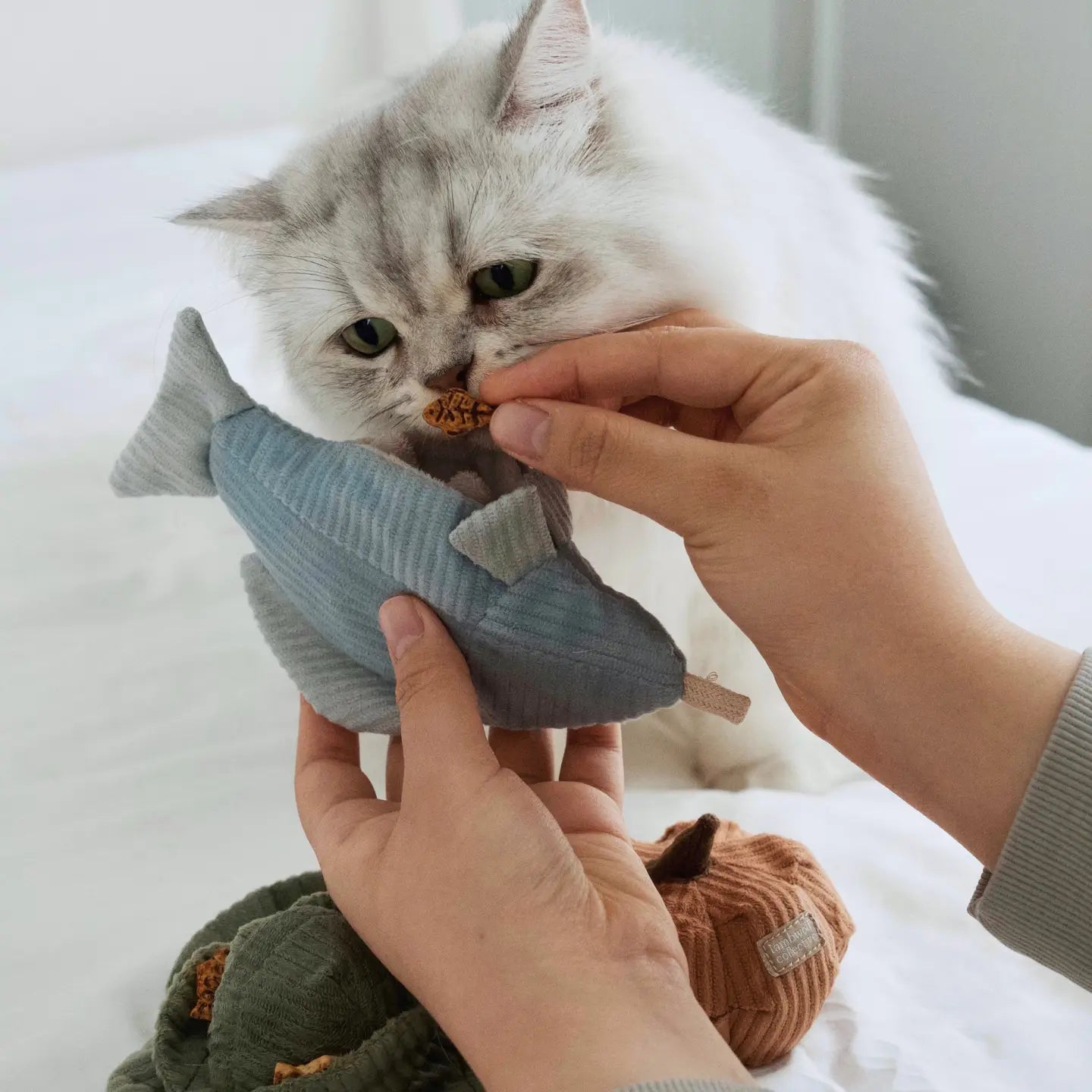 Truite Kitty Lambwolf 🐟 : jouet interactif pour chat avec herbe à chat et cachettes à friandises.