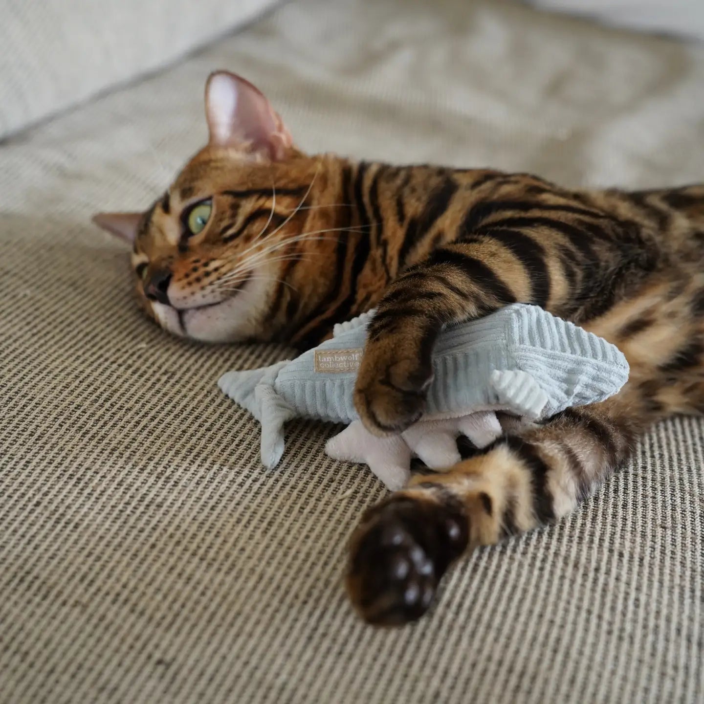 Truite Kitty Lambwolf 🐟 : jouet interactif pour chat avec herbe à chat et cachettes à friandises.