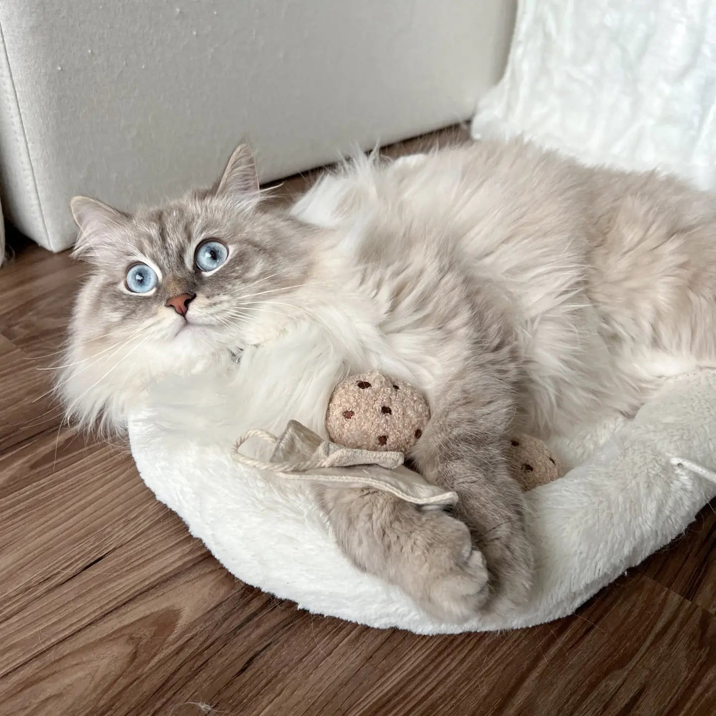 Sachet de thé à la cataire jouet pour chat