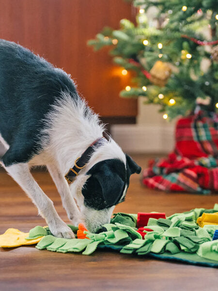 Tapis de fouille pour chien en forme de sapin de Noël - Snuffle Mat Pet PLAY